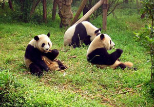 Kína, Tibet, Nepál - a világ tetején Kína, Tibet, Nepál - a világ tetején