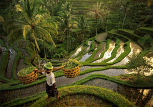 Csillagtúra Bali szigetén, látogatással Szingapúrban Csillagtúra Bali szigetén, látogatással Szingapúrban