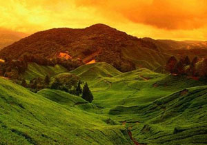 Körutazás MALÁJZIÁBAN, üdüléssel PANGKOR szigetén Körutazás MALÁJZIÁBAN, üdüléssel PANGKOR szigetén