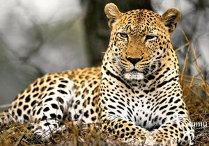 KLASSZIKUS DÉL-AFRIKAI TÚRA KLASSZIKUS DÉL-AFRIKAI TÚRA