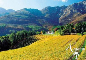 WELLNESS, BOR ÉS VADÁLLATOK WELLNESS, BOR ÉS VADÁLLATOK