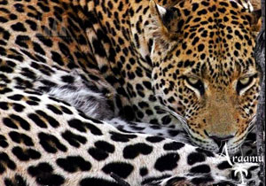 NAMÍBIAI FELFEDEZŐTÚRA NAMÍBIAI FELFEDEZŐTÚRA