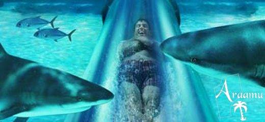 Bahamák, Atlantis Coral Towers****