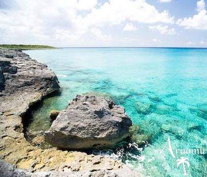 Bahamák, Cape Eleuthera Resort and Yacht Club****